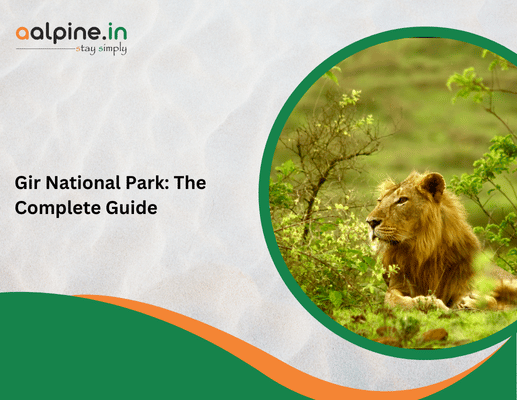 Gir National Park: The Complete Guide